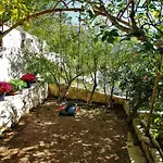 Kata Marusici (Split-Dalmatia)