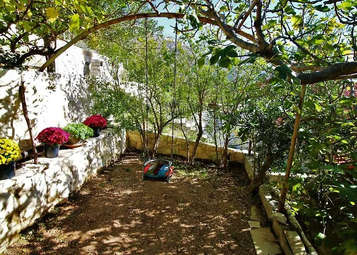 Kata Marusici (Split-Dalmatia)